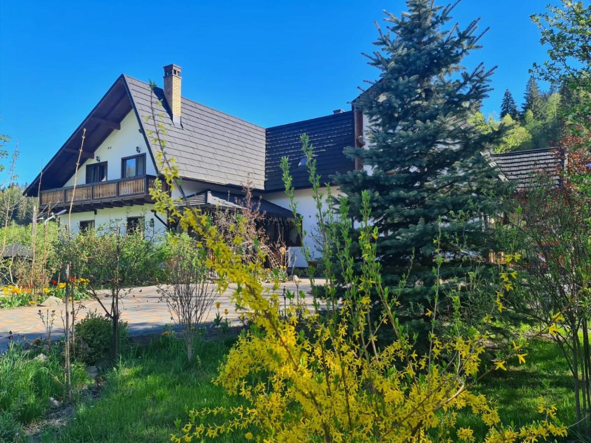 Hotel Casa Baciu Fundu Moldovei Exteriér fotografie