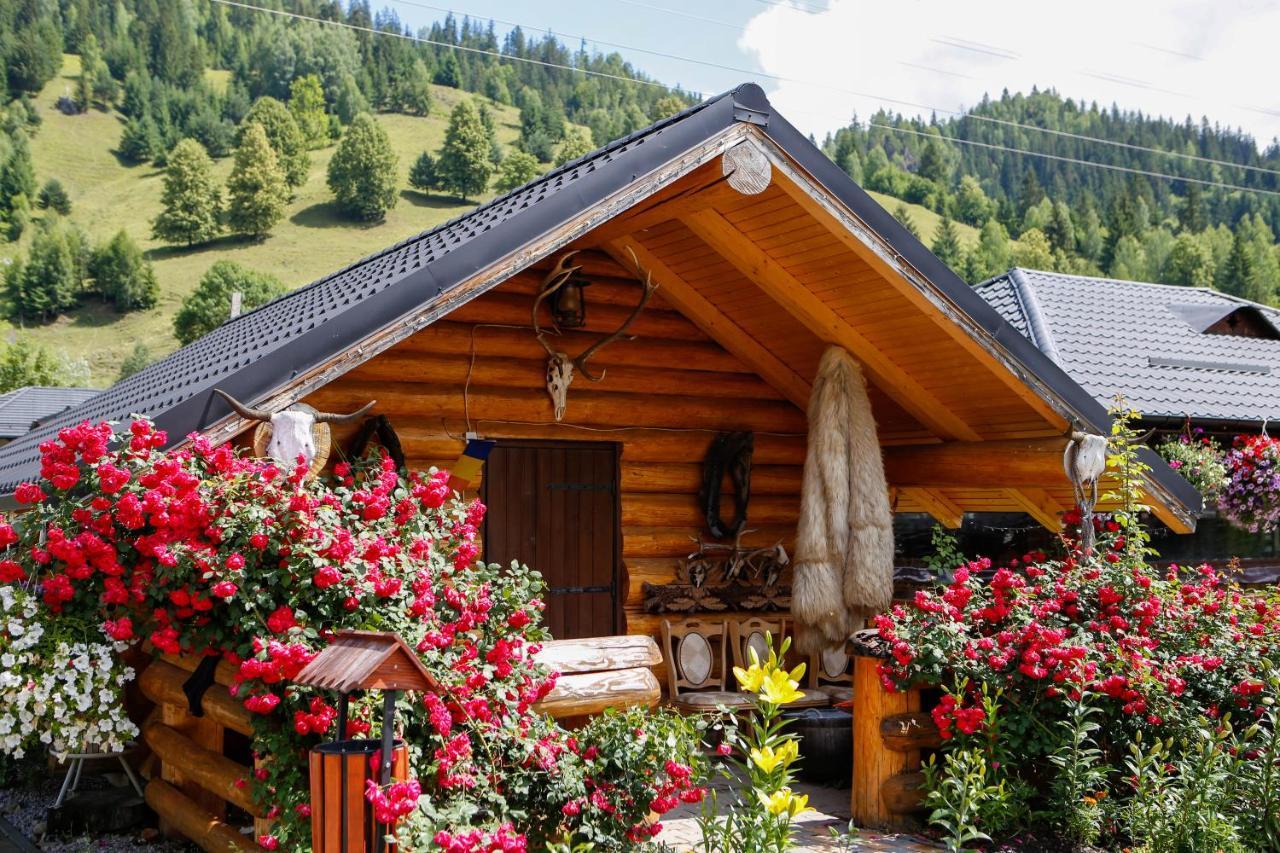 Hotel Casa Baciu Fundu Moldovei Exteriér fotografie