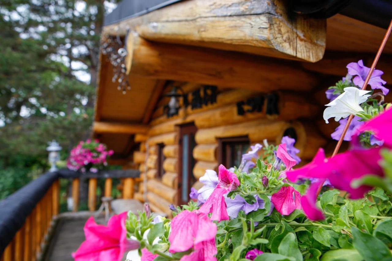 Hotel Casa Baciu Fundu Moldovei Exteriér fotografie