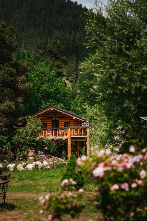 Hotel Casa Baciu Fundu Moldovei Exteriér fotografie